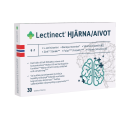 Lectinect Hjärna